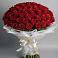 Букет 101 Красная роза Блэк Мэджик в Новотроицке