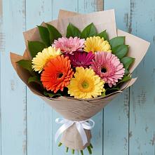 Букет цветов из:  Герберы в Новотроицке