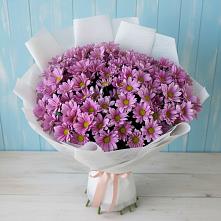 Букет цветов из:  Хризантемы в Новотроицке