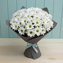 Букет цветов из:  Хризантемы в Новотроицке