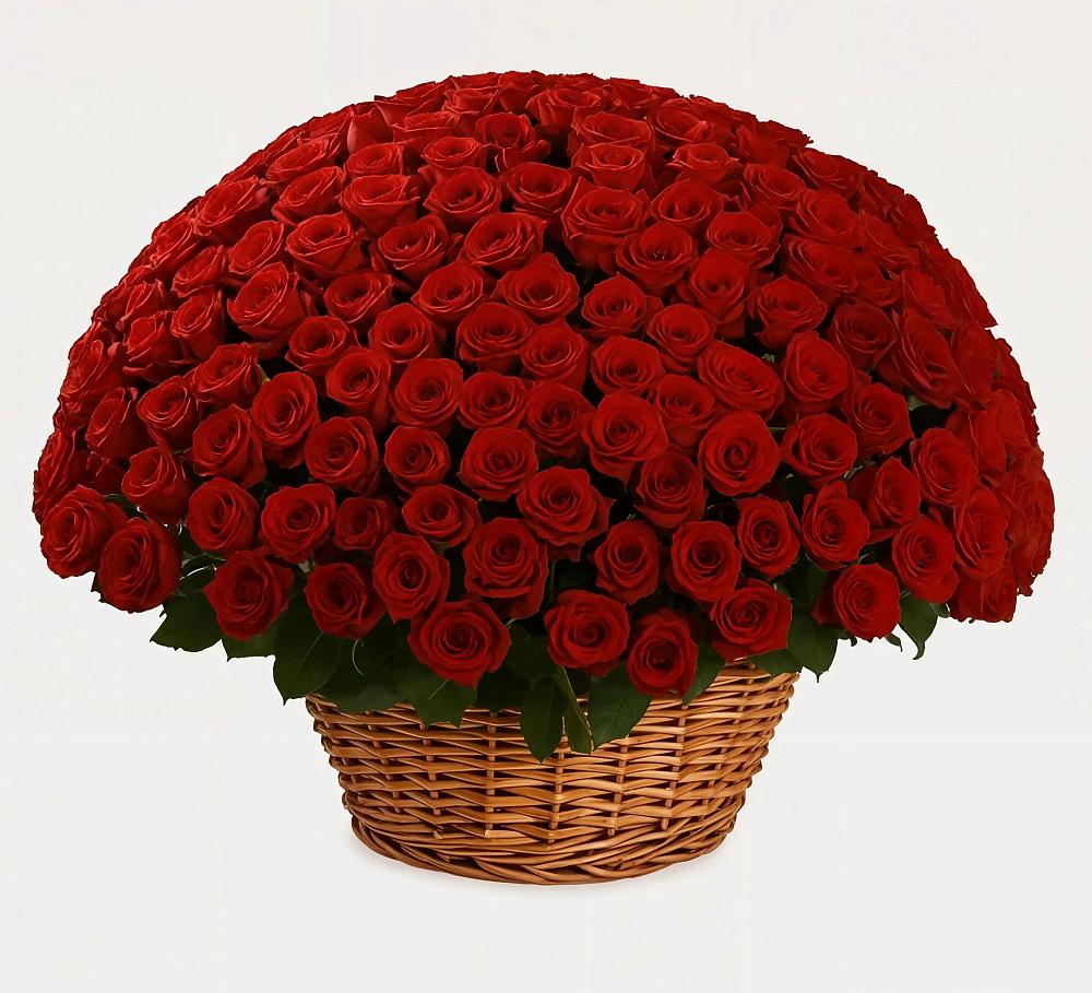 Премиум букет из: Розы в Новотроицке