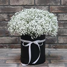 Цветочная композиция из Гипсофила в шляпной коробке в Новотроицке