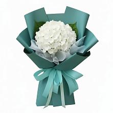 Букет цветов из:  Гортензия #REPLACE_PRED# Новотроицке